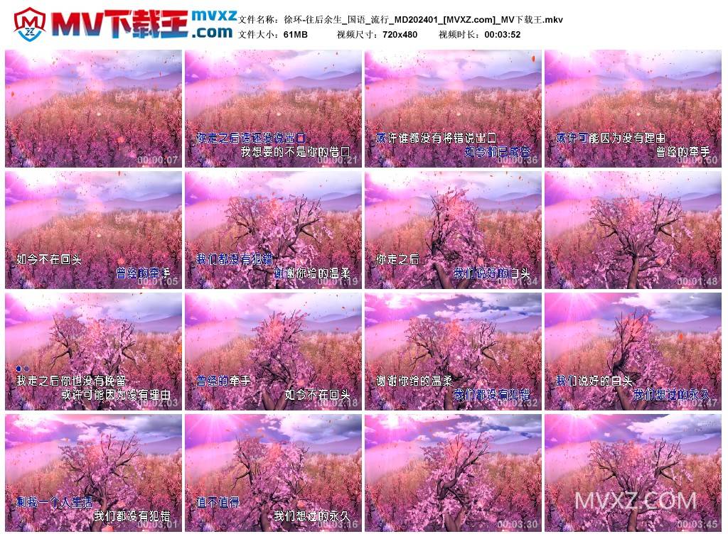 徐环-往后余生_国语_流行_MD202401